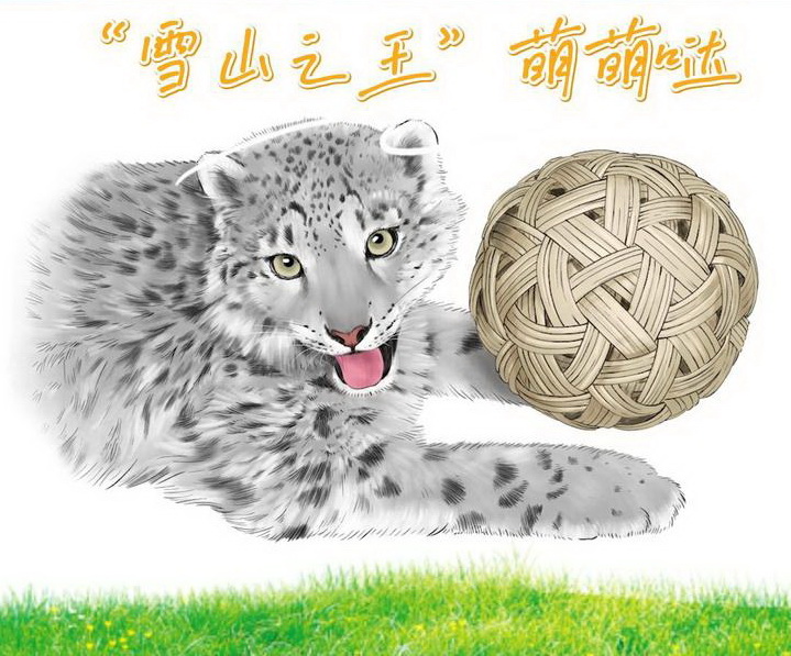 這才叫國(guó)潮·一方文創(chuàng)｜“豹”款來(lái)襲！“雪山之王”萌萌噠