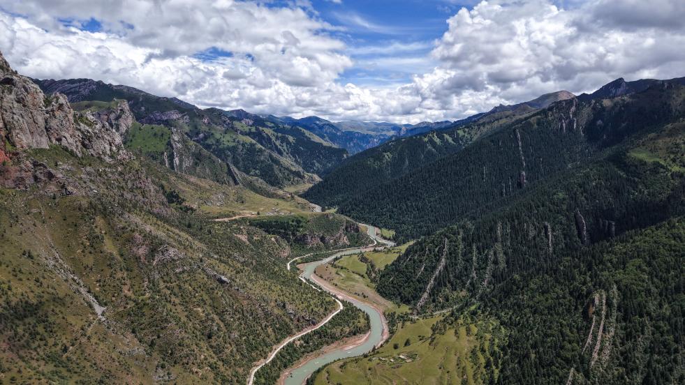 初秋的青海玉樹(shù)