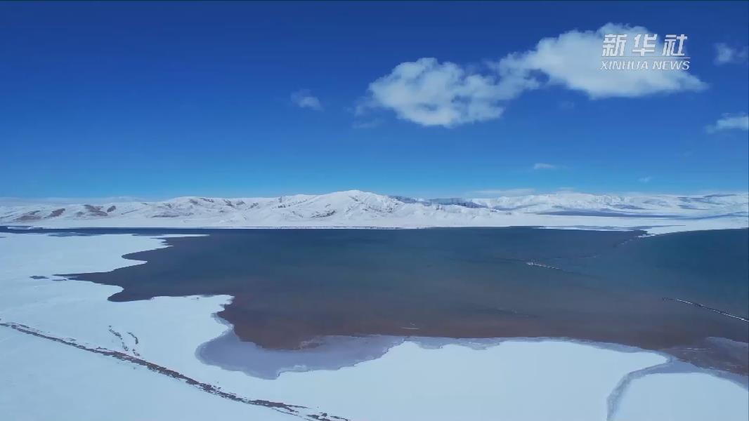 青?，敹啵憾喾N珍稀野生動(dòng)物亮相黃河源頭