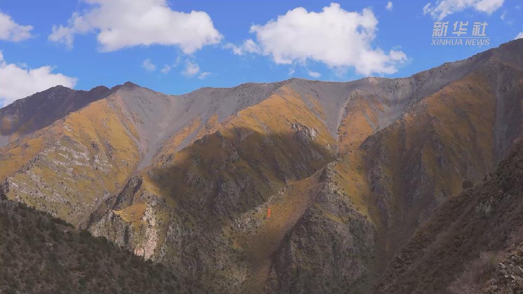 4362張照片！他們?cè)谶@里堅(jiān)持10年開展雪豹種群動(dòng)態(tài)研究