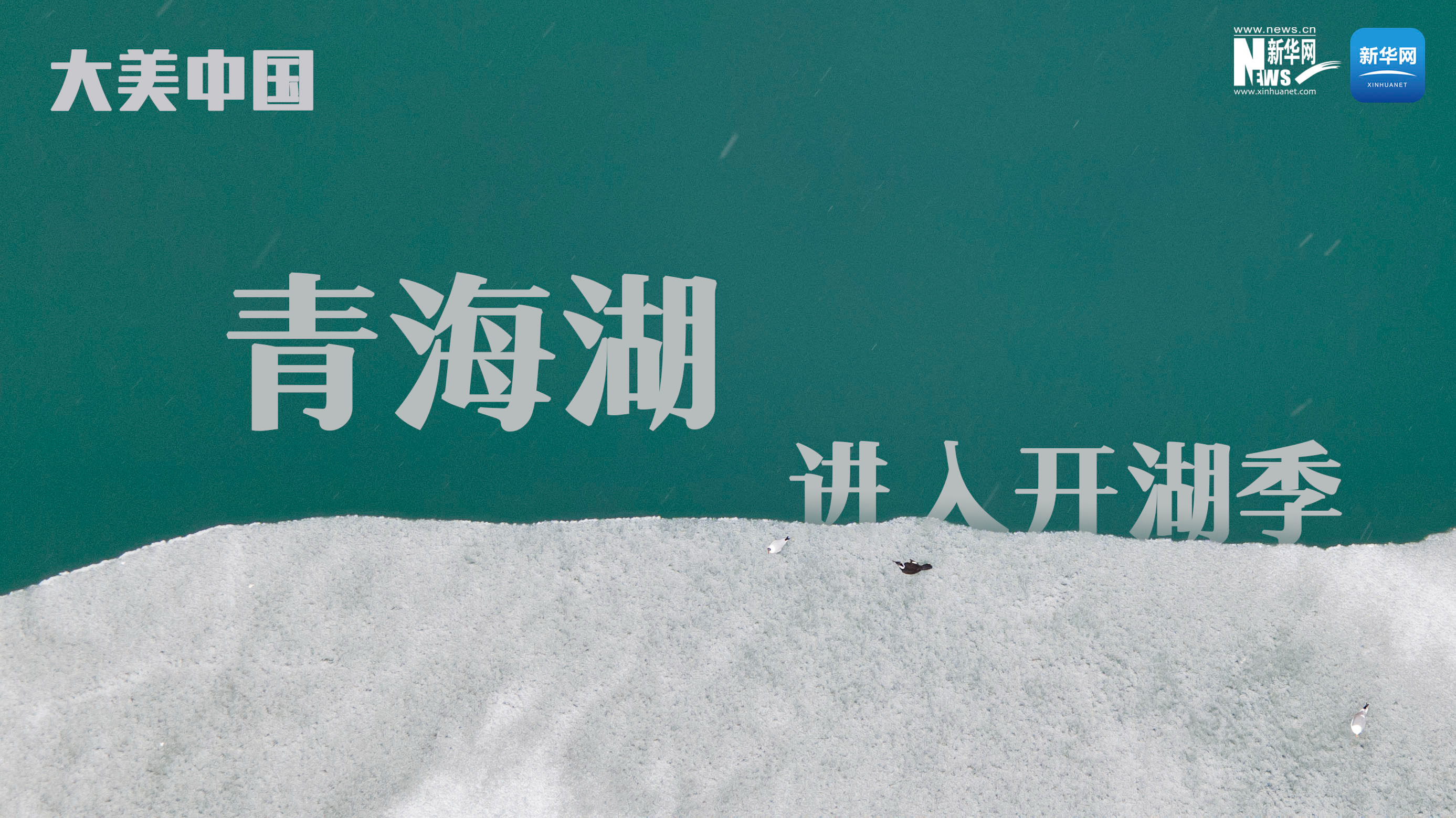 大美中國(guó)丨青海湖進(jìn)入&ldquo;開(kāi)湖季&rdquo;